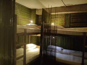 a group of bunk beds in a room at Green Hostel & Sunny Guesthouse in Yuanyang
