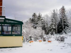 um pátio coberto de neve com um edifício e árvores em Ferienhaus Anna Semmering em Semmering