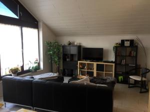 ein Wohnzimmer mit einem Sofa und einem TV in der Unterkunft Blindert in Mechernich