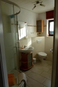 ein Bad mit einer Dusche, einem Waschbecken und einem WC in der Unterkunft Blindert in Mechernich