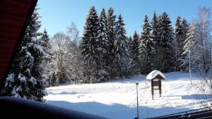 Apartmán Bílé Labe v zimě