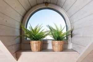 Giardino di MyBednBreakfast in Bottmingen