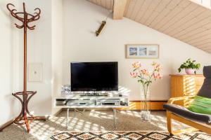 TV a/nebo společenská místnost v ubytování MyBednBreakfast in Bottmingen