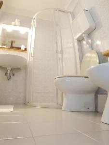 ブレントーニコにあるSport & Family Hotel Bucaneveの白いバスルーム(トイレ、シンク付)