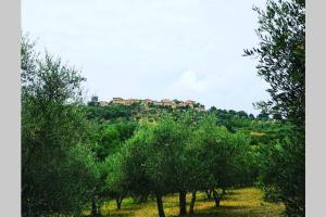 una casa en la cima de una colina detrás de los árboles en Sandrine Serpentine - Valleranum, en Murlo