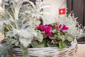 Foto dalla galleria di MyBednBreakfast in Bottmingen a Bottmingen