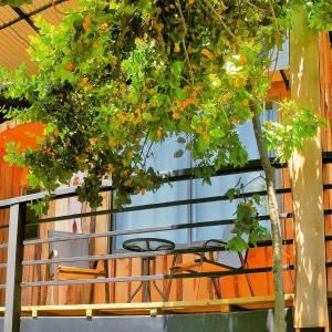 Rõdu või terrass majutusasutuses Lodge Colbún