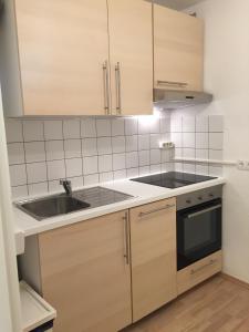 Kuchyň nebo kuchyňský kout v ubytování Advice & Advise Apartment