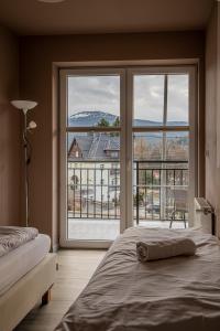 シュクラルスカ・ポレンバにあるApartamenty Villa Mountain Viewのベッドルーム1室(ベッド1台、大きな窓付)