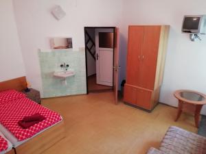 um quarto com uma casa de banho com um lavatório e uma cama em Penzion Rudolfovna em Železná Ruda