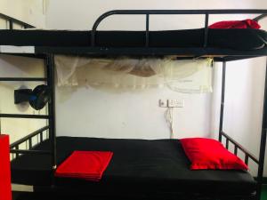 Våningssäng eller våningssängar i ett rum på New Dambulla City Hostel