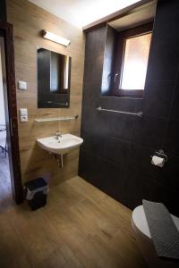 een badkamer met een wastafel, een spiegel en een toilet bij Penzion Ve Vinohradě in Němčičky