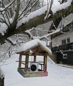 um comedor de pássaros numa árvore com neve em Kasita Bled Apartments em Bled