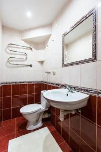 ein Badezimmer mit einem WC, einem Waschbecken und einem Spiegel in der Unterkunft Apartment Ruska 12 in Lwiw
