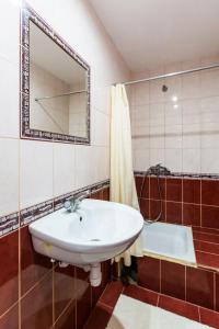 a bathroom with a sink and a mirror and a tub at Apartment Ruska 12 in Lviv