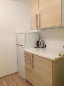 Kuchyň nebo kuchyňský kout v ubytování Advice & Advise Apartment