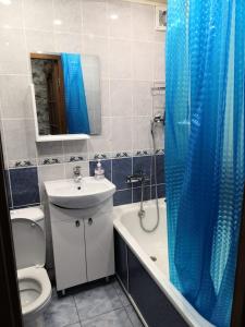 チェベルカにあるUiutnaia kvartira v Teriberkeのバスルーム(シンクトイレ、青いシャワーカーテン付)