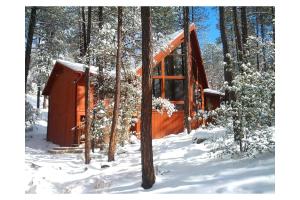 Deck and Forest Views Peaceful Prescott Cabin v zimě