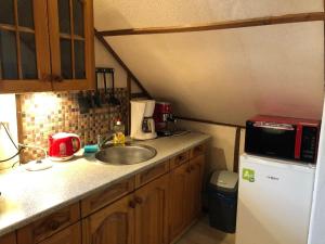 Kuchyňa alebo kuchynka v ubytovaní Apartmány U Kocoura pod Klínovcem