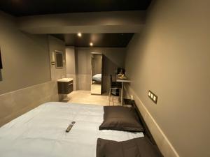 a bedroom with a large bed in a room at Appartement Studio Tournai in Tournai