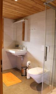 ein Bad mit einem WC, einem Waschbecken und einer Dusche in der Unterkunft Bühlerhof in Lenk im Simmental