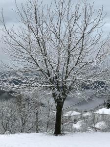 Mikro Katafygio during the winter