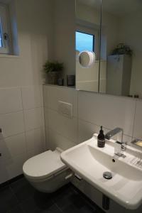 La salle de bains est pourvue de toilettes, d'un lavabo et d'un miroir. dans l'établissement Penthouse Burgblick mit Dachterrasse, à Staufen-en-Brisgau