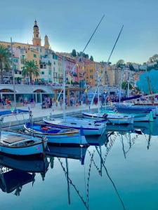 a group of boats are docked in a harbor at L'Orient Palace Apartments in Menton