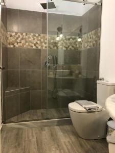 a bathroom with a glass shower and a toilet at Paxos Santa Marina Villas in Gaios