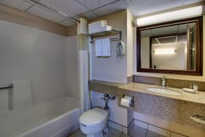 ein Badezimmer mit einem WC, einem Waschbecken und einem Spiegel in der Unterkunft EverSpring Inn in Bismarck