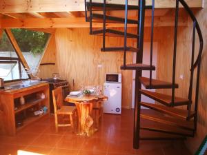 a kitchen with a spiral staircase in a room at Cabañas y Domos Doña Betty in Choshuenco
