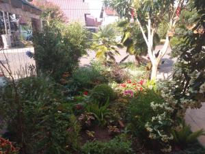 d'un jardin avec des fleurs colorées et un arbre. dans l'établissement QUARTO Jardim da Serra, à Nova Petrópolis