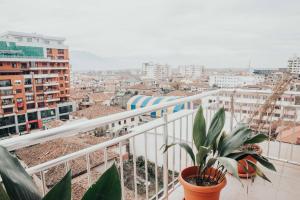 d'un balcon avec une plante offrant une vue sur la ville. dans l'établissement Shkodra apartment with amazing view in the city center, à Shkodër