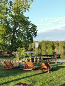 eine Gruppe von Stühlen auf dem Gras in der Nähe eines Sees in der Unterkunft Schöne 3Zimmer Ferienwohnung direkt am Baalensee in Fürstenberg-Havel