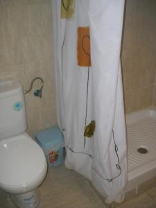 La salle de bains est pourvue de toilettes et d'un rideau de douche. dans l'établissement Azul Maritimo, à Cadix