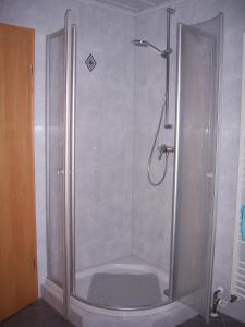 a shower with a glass door in a bathroom at Ferienwohnung am Pfaffenfels in Schönau