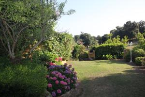 a garden with purple and pink flowers and bushes at Residence Helios in Cargèse
