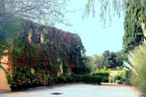 a building with a bunch of flowers on it at Residence Helios in Cargèse