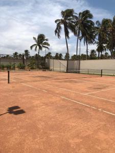 a tennis court with palm trees in the background at Fleixeiras Eco Residence in Trairi