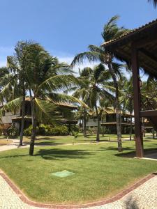 a resort yard with palm trees and a putting green at Fleixeiras Eco Residence in Trairi