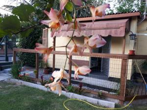 Зображення з фотогалереї помешкання Mini casa (kit net) у місті Флоріанополіс