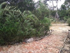 un jardín con una pasarela de ladrillo junto a un arbusto en Los Caranchos II, en Cuchilla Alta