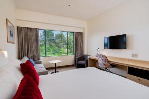 a living room with a couch and a television at Novotel Rotorua Lakeside in Rotorua