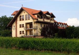 呂德斯海姆的住宿－馬格達勒尼霍夫莊園酒店，田野旁小山上的房屋