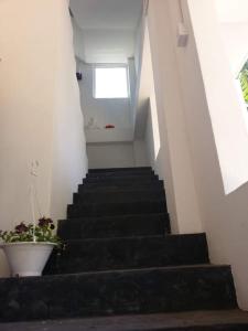 Gallery image of Maheeda Guest House in Weligama +14 photos