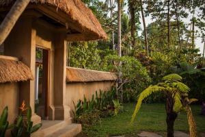 Zahrada ubytování Abimana Ubud