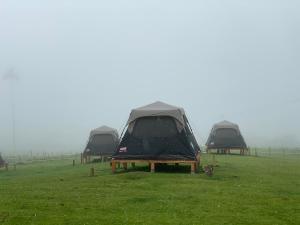 three tents sitting in a field in the fog at Refugio Nidos del Condor Cocora in Salento