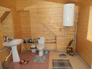 a bathroom with a toilet and a sink at Karpatskiy Domik Izki in Izki