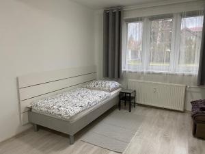 Postel nebo postele na pokoji v ubytování Apartmán Pod stráňou