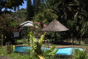 a pool with a straw umbrella and some plants at The Little Round House in Umtwalumi